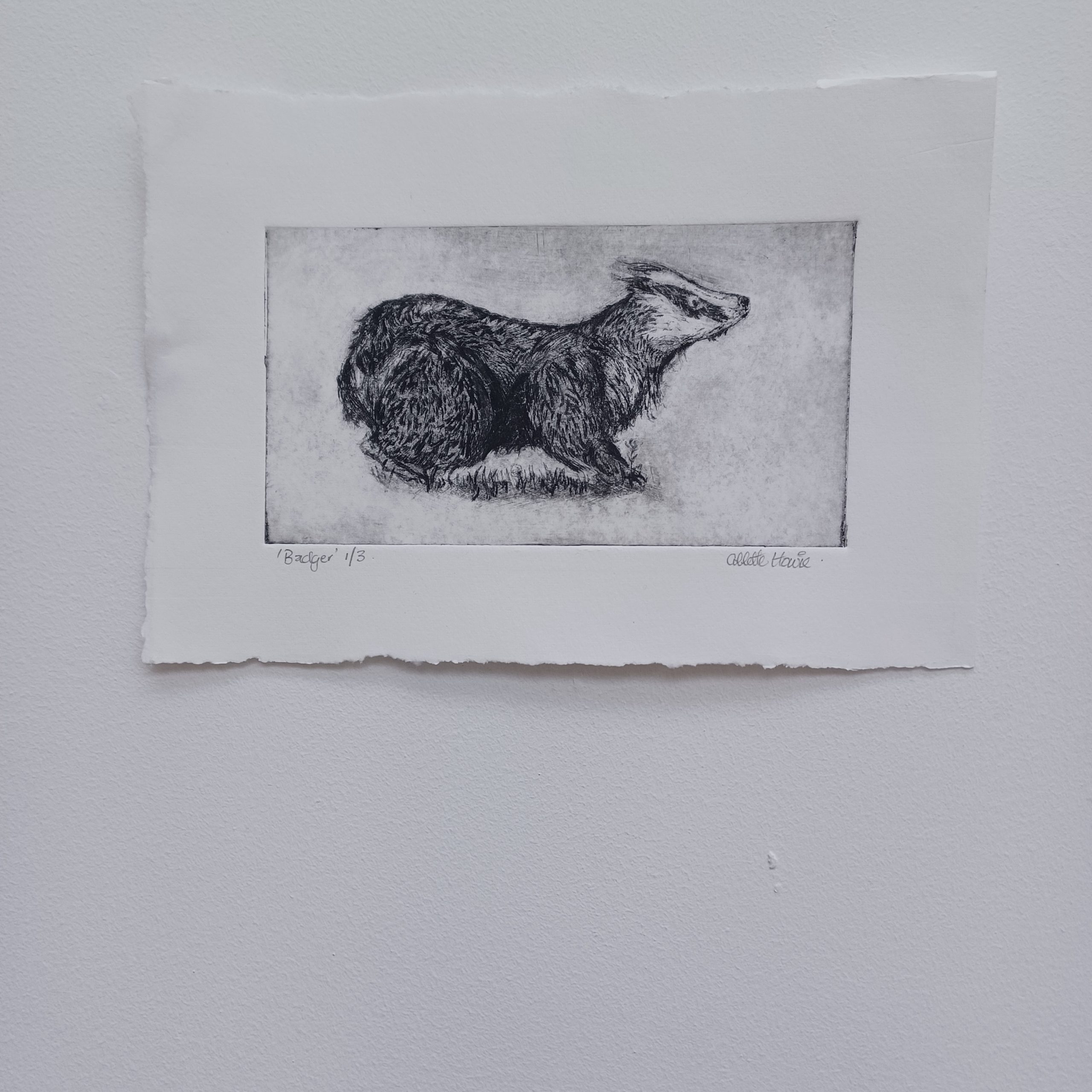 badger print