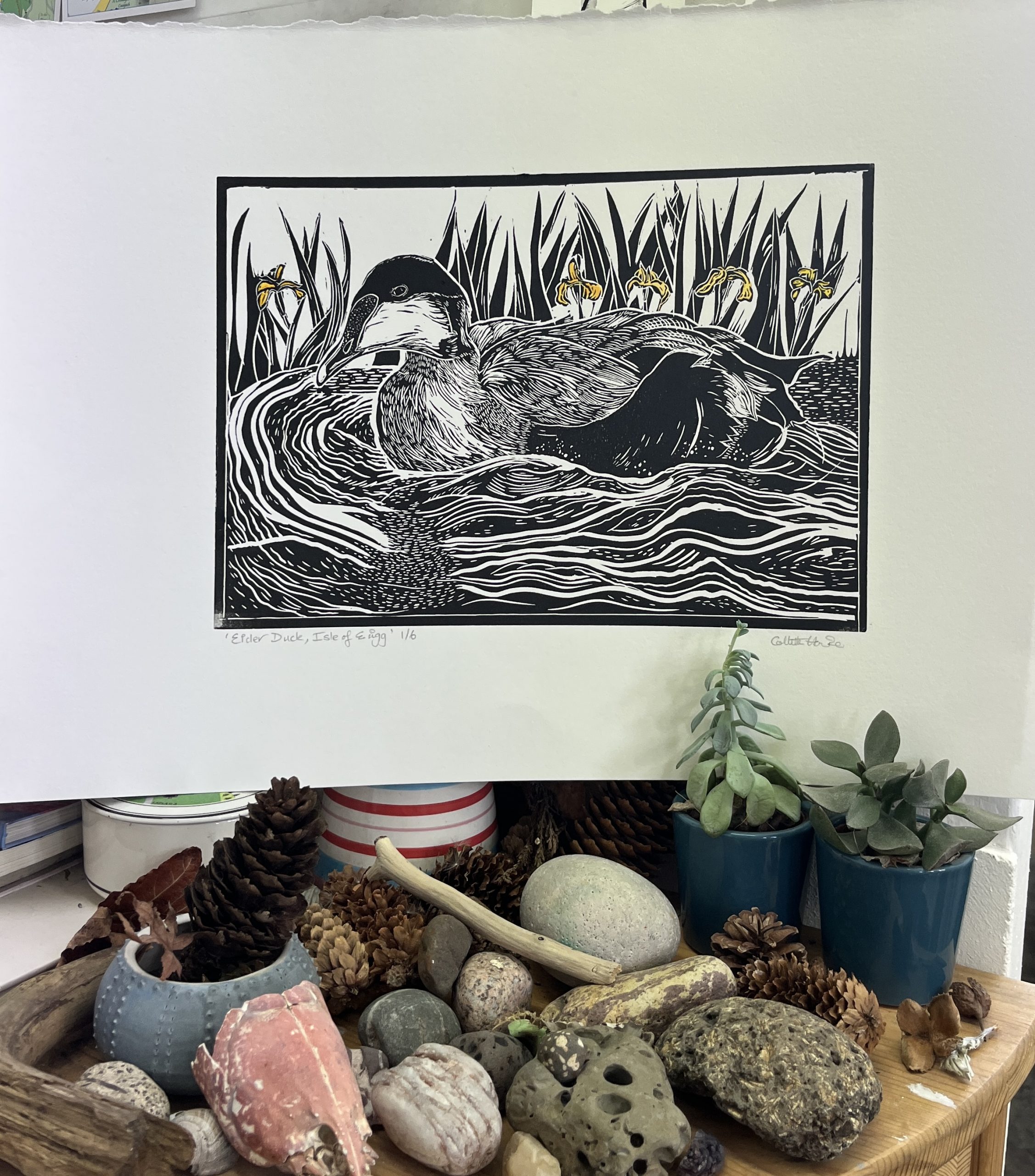 eider duck linoprint in black and white on water with yellow irises in background