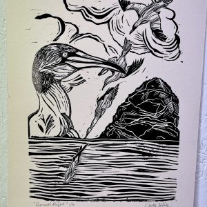 gannets in flight
