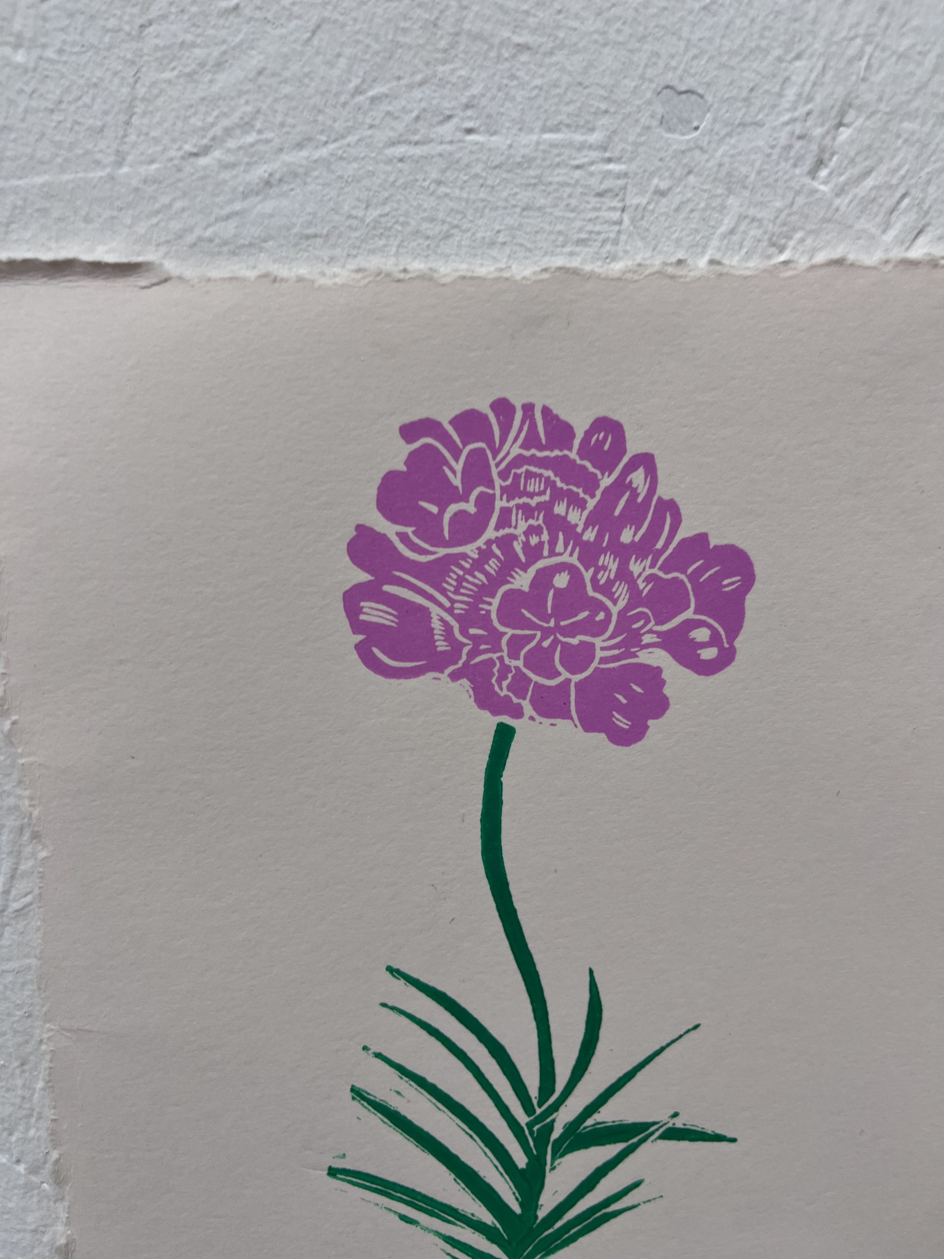 close up of sea thrift Lino print on cream paper