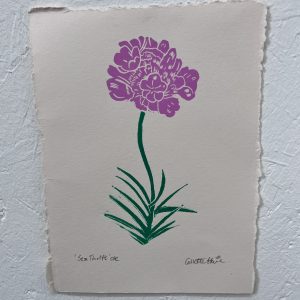 sea thrift Lino print in pink and green stem on cream paper