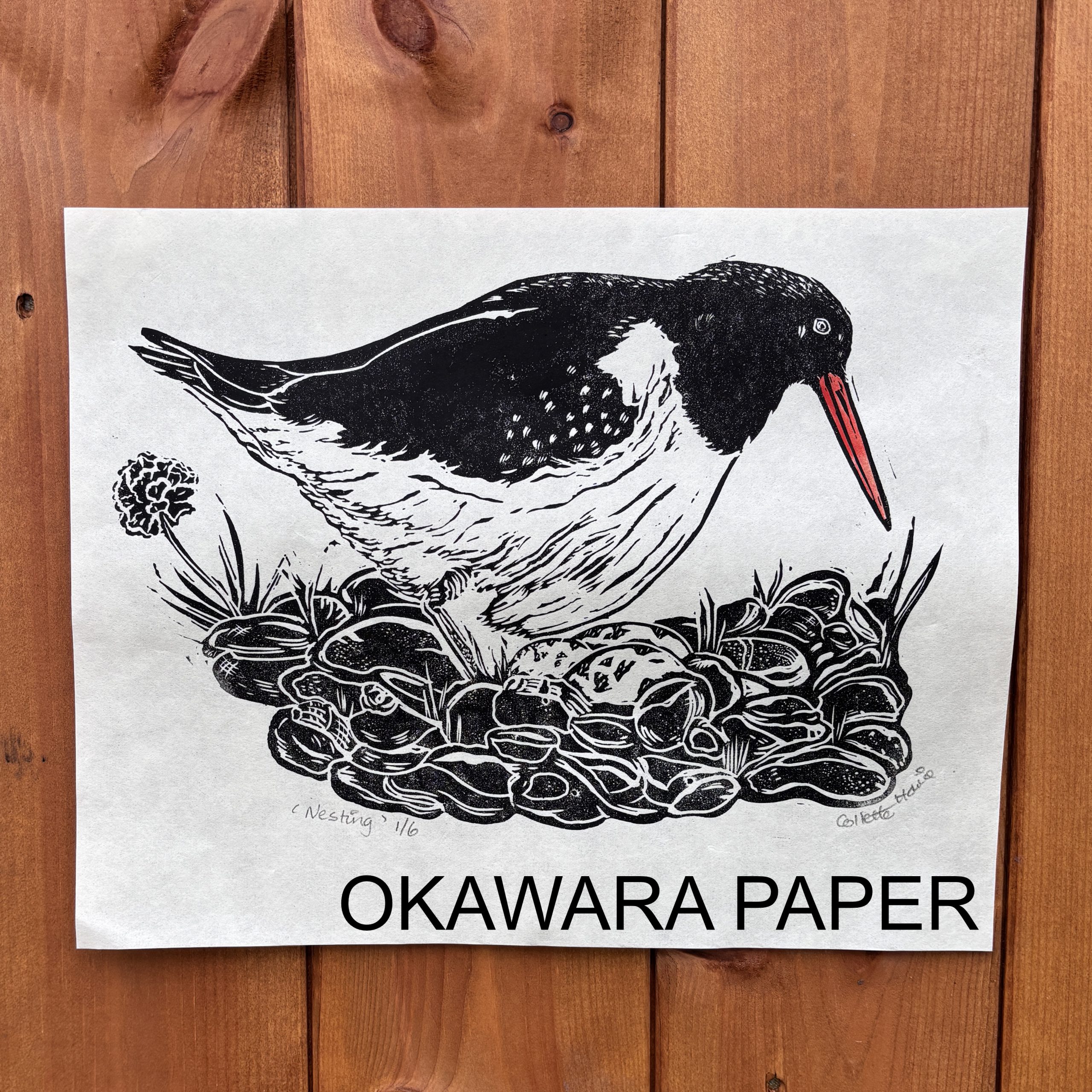 Oystercatcher bird Lino Print - Image 3