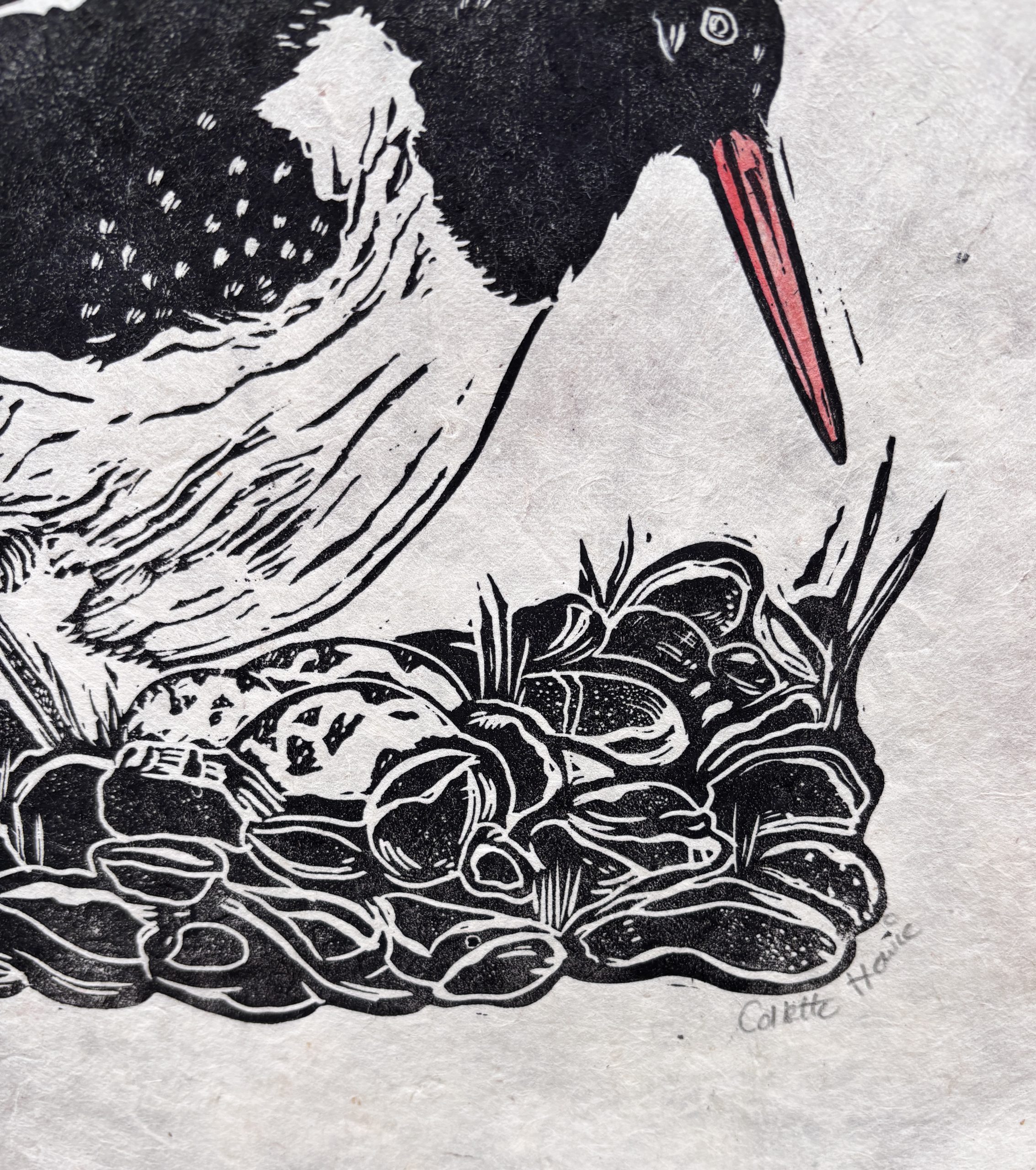 Oystercatcher bird Lino Print - Image 5