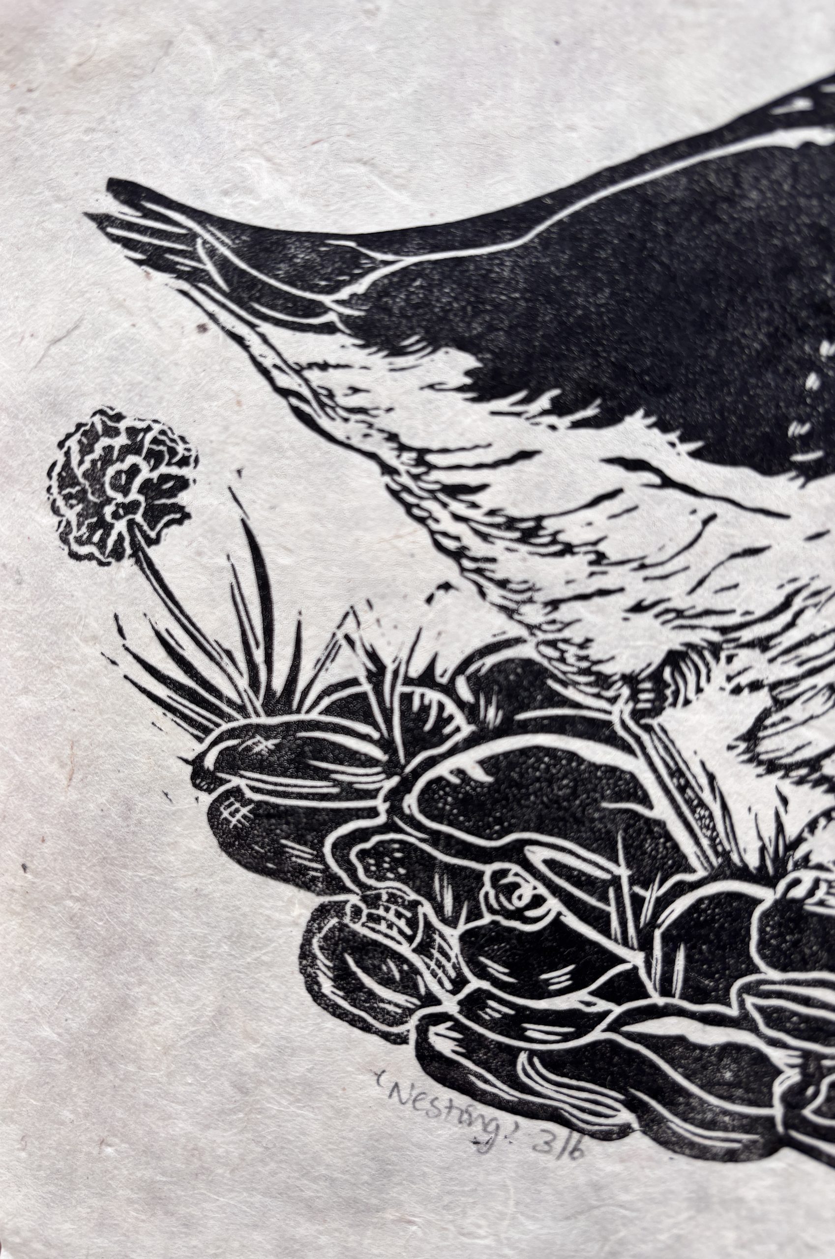 Oystercatcher bird Lino Print - Image 4