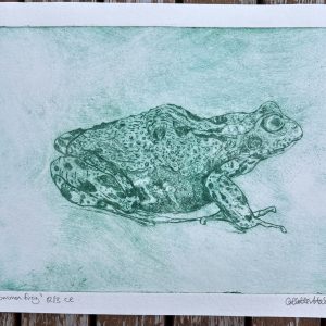 This original drypoint print is inspired by a little frog who decided to make a home in my tiny, humble wildlife pond this summer.  Imagine my delight when I dreamt the previous night about the pond, then peeked through the tall grass the next day, only to discover my little visitor! Printed on Fabriano unica cotton printmaking paper using Prussian blue Caligo traditional etching inks on a Gunning etching press. size 22cm x 17cm
