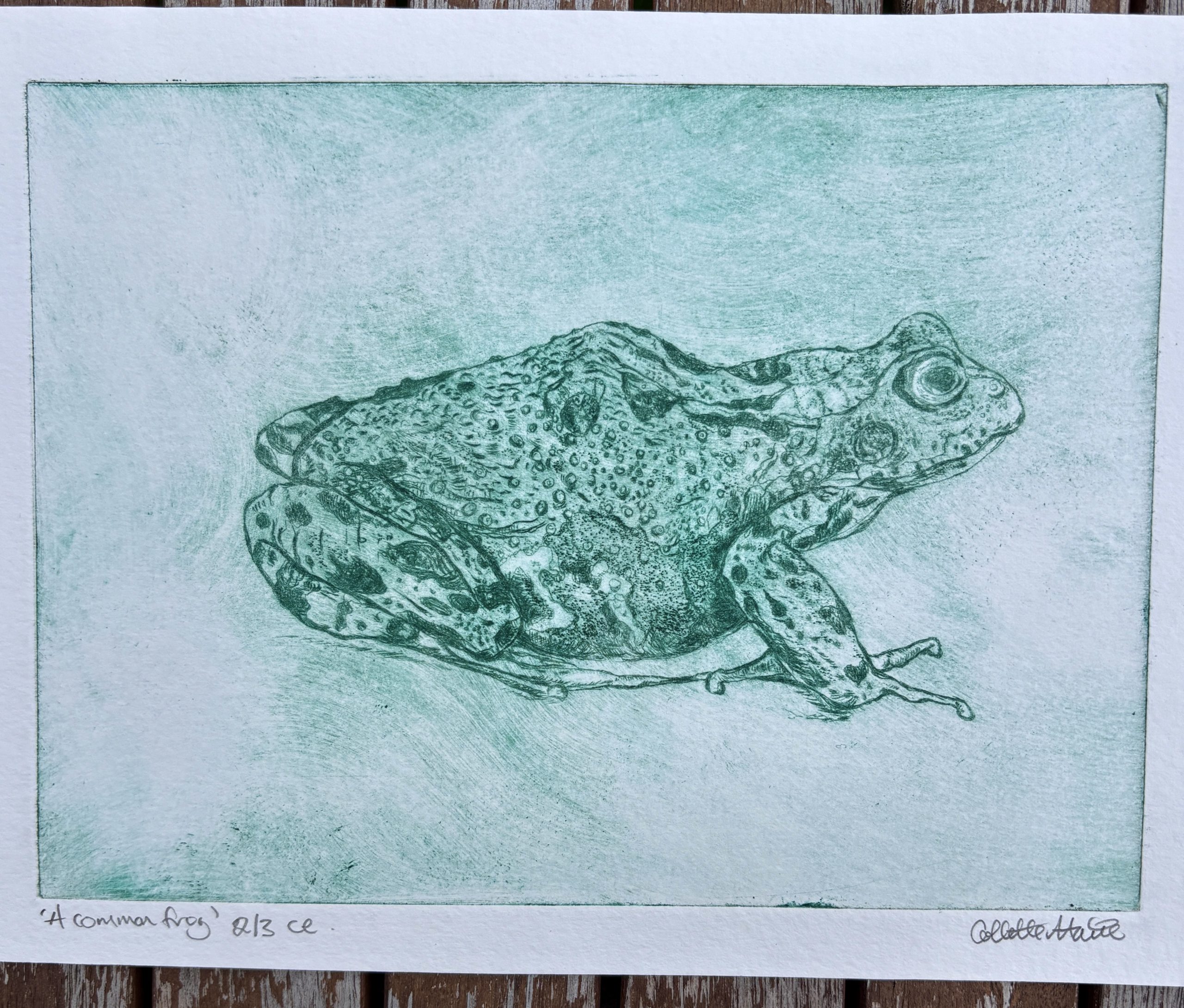 This original drypoint print is inspired by a little frog who decided to make a home in my tiny, humble wildlife pond this summer.  Imagine my delight when I dreamt the previous night about the pond, then peeked through the tall grass the next day, only to discover my little visitor! Printed on Fabriano unica cotton printmaking paper using Prussian blue Caligo traditional etching inks on a Gunning etching press. size 22cm x 17cm
