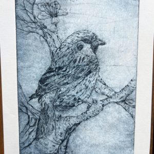 blue black tree sparrow drypoint print