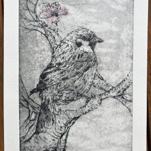 tree sparrow drypoint print in black with pink blossom added by chine colle by Collette Howie