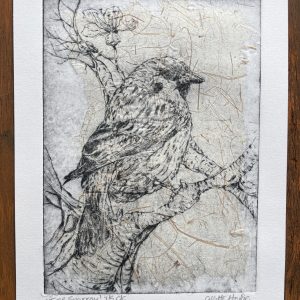 tree sparrow drypoint print in black with textured chine colle layer of paper by Collette Howie