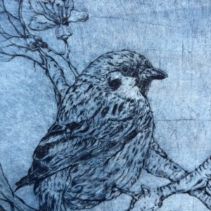 Tree Sparrow Drypoint print prussian blue
