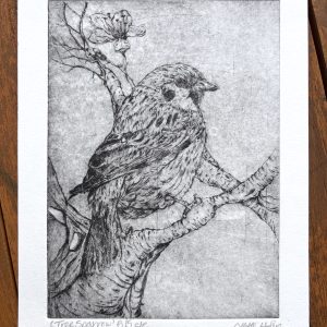 Tree Sparrow Drypoint Print in black